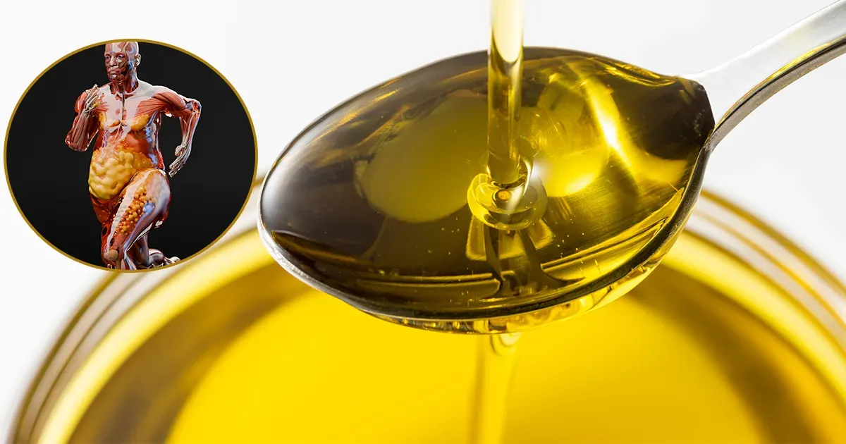 L’huile présentée comme bonne pour la santé pourrait bloquer votre métabolisme