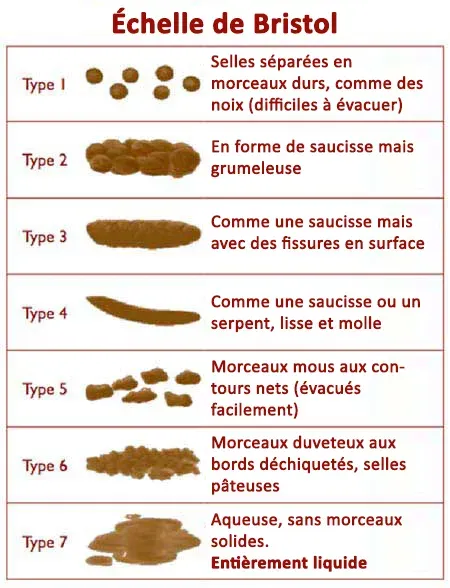 le tableau des selles de Bristol&nbsp;