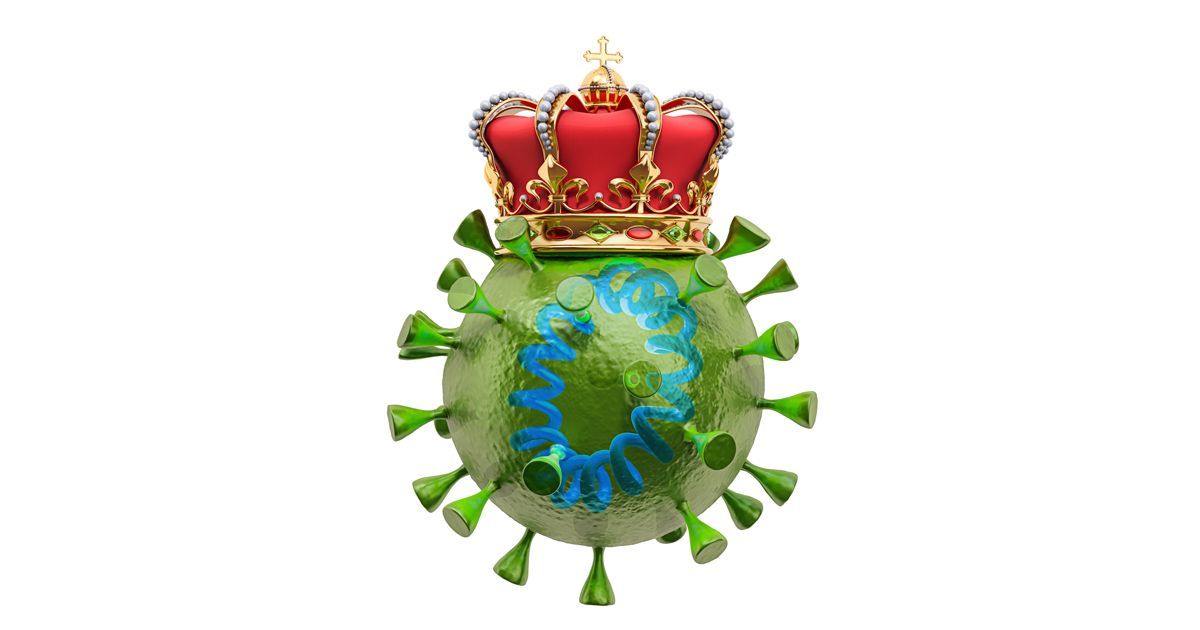 Pourquoi le BA.5 est-il le roi des variants du coronavirus ?