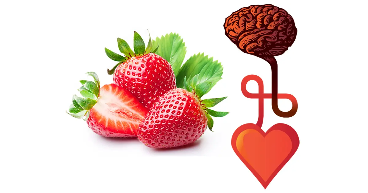Les fraises sont bonnes pour le cœur et le cerveau