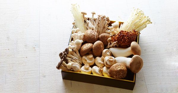 Comment les champignons aident à protéger votre cerveau