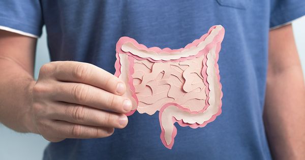 La nouvelle espèce menacée : Le microbiome intestinal humain