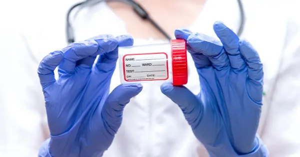 « Cacapsules » : la nouvelle pilule pour la transplantation de matières fécales