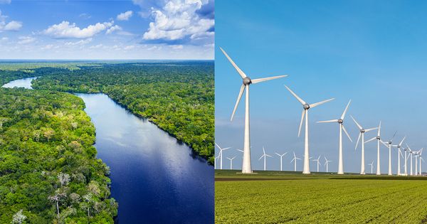 Déforester l'Amazonie pour construire des éoliennes à énergie verte ?