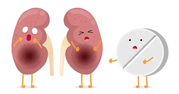 Les antibiotiques sont associés à un risque accru de calculs rénaux