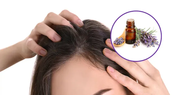 L'huile de lavande et les produits pharmaceutiques pour la pousse des cheveux : lequel des deux l'emporte ?
