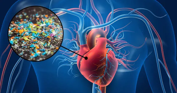 Que font des fragments de plastique dans le cœur humain ?