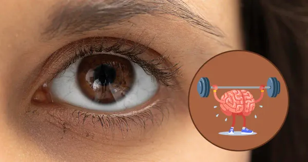 Les pupilles peuvent-elles indiquer l'impact d'un exercice léger sur le cerveau ?