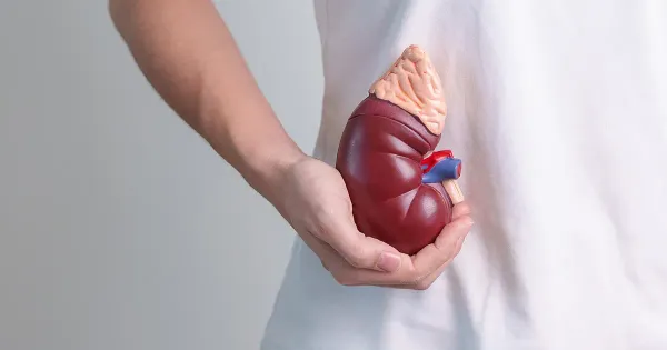 Fatigue surrénale : qu'est-ce que c'est et comment la traiter?