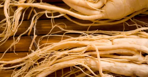 Le ginseng peut-il contribuer à la lutte contre le diabète ?