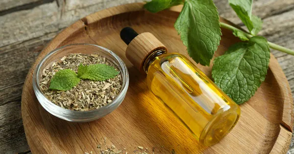 L’huile qui fait trembler les bactéries les plus tenaces