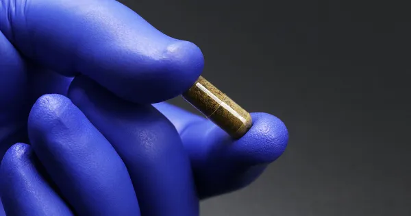 Restaurer l'écosystème intestinal : le pouvoir de la transplantation de microbiote